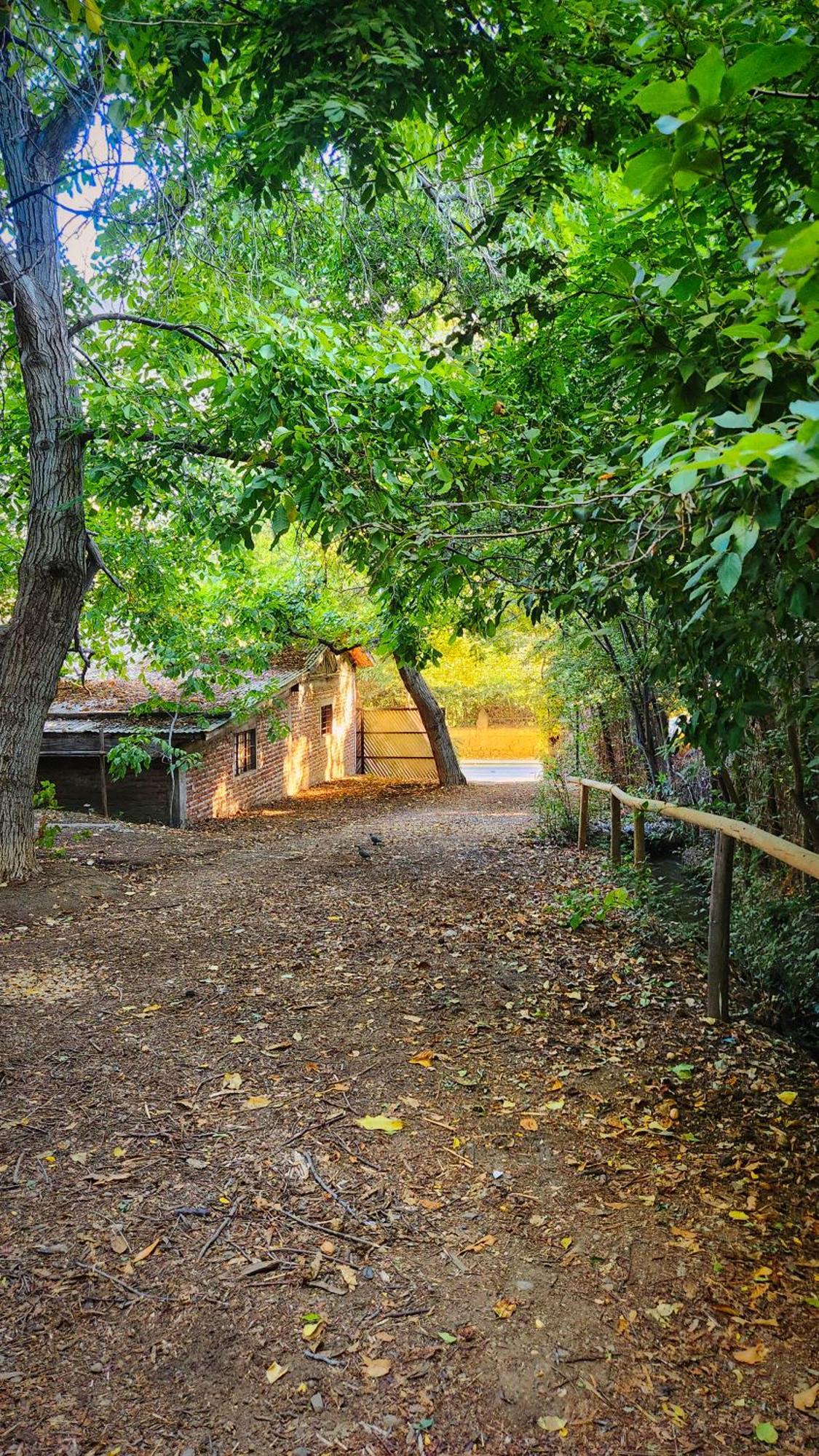El Jardin, Eco Cabanas Boutique Сан-Альфонсо Экстерьер фото
